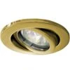 DAR Lighting Polished Brass Tilt Downlighter 12v MR16 Lampholder Included