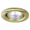 Eterna R50 Brass Down Light Mains 240v 40w Max 65mm Hole Cut Out