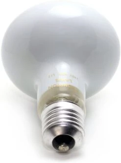 Sylvania R80 60W Reflector Bulb Spot LightEdison Screw ES/E27 Cap Diffused 220-240 Volt -Light Haven Shop 6 6 1 611tfmeokvl. ac sl1500