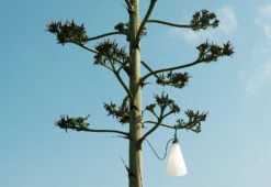 Flos Mayday Outdoor, 2022 -Light Haven Shop May Day Lamp outdoor black 5