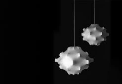 Flos Taraxacum, 1960