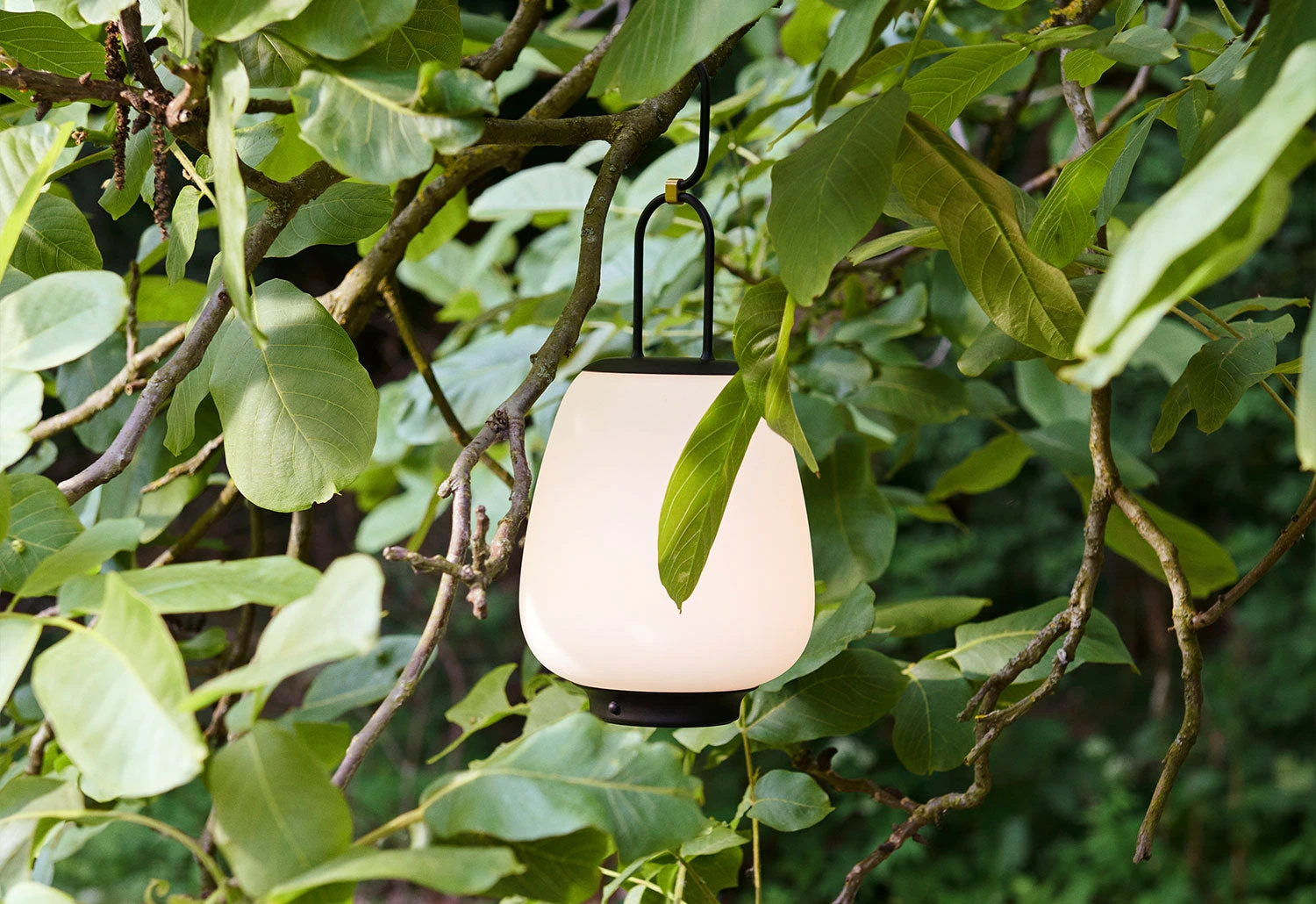 SC51 Lucca Portable Lamp, 2020 9 SC51 Lucca Portable Lamp, 2020 - Image 9