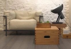 Projecteur 365 Floor Light, 1954 -Light Haven Shop nemo lighting Projecteur 365 floor 02