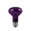 Paulmann R80 75W ES/E27 Black Light Spot Lamp Reflector For Parties