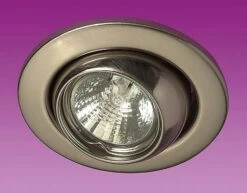 12v 50w Eyeball Downlight Silver For 50mm Recessed Halogen Spot Lamp - EYE5032LV/M
