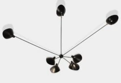 Applique Araignée 7 Bras Fixes, 1953