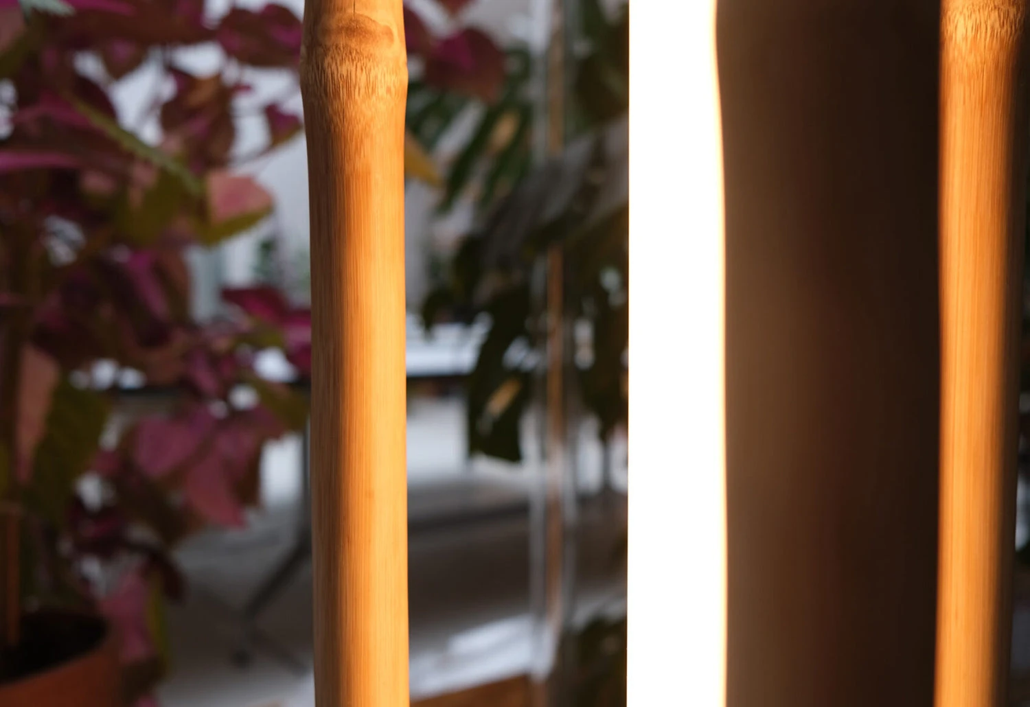 Ta-ke 1 Floor Light, 2022 4 Ta-ke 1 Floor Light, 2022 - Image 4