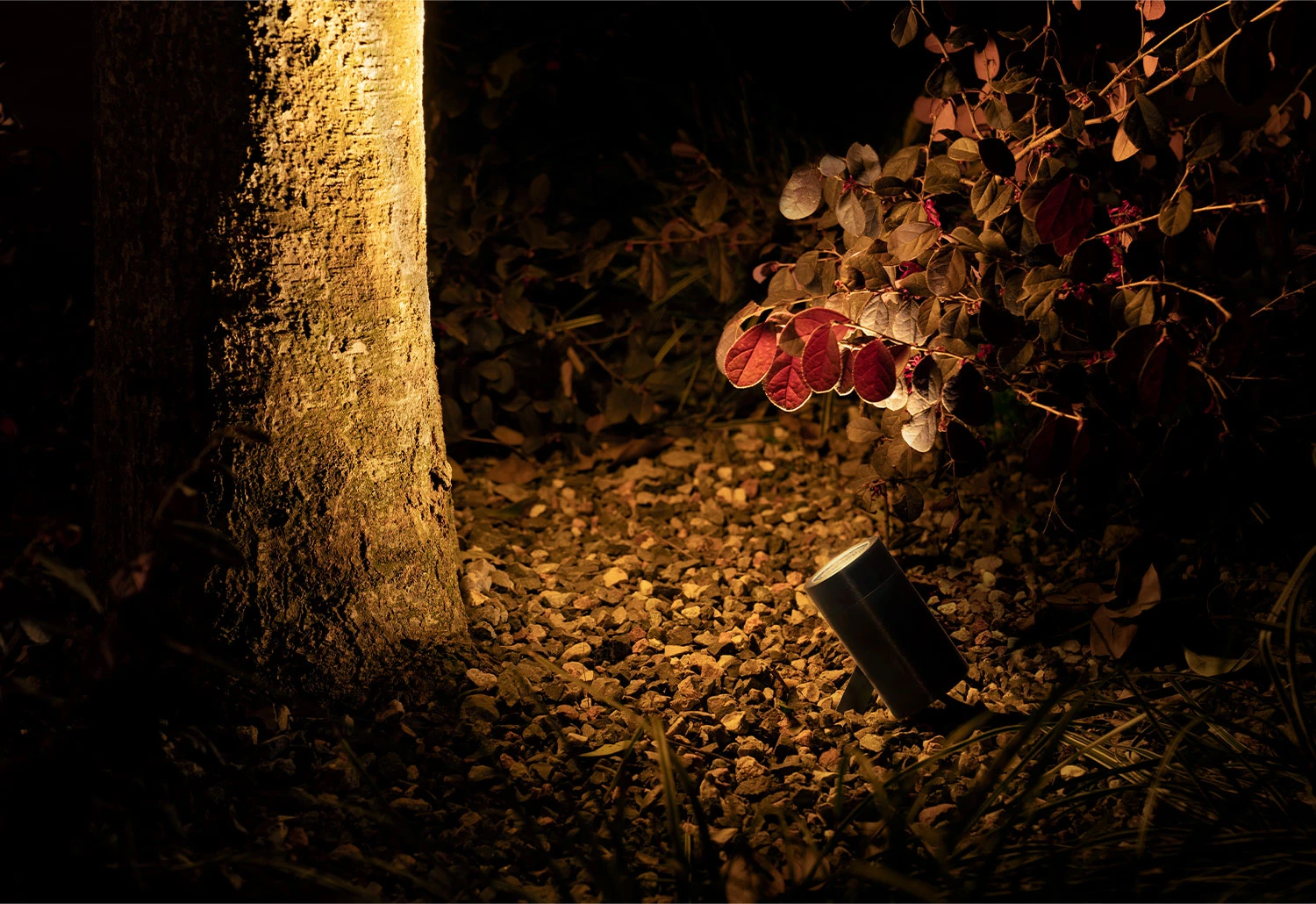 Lux Spot 2 Lux Spot - Image 2