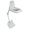 Eagle Desktop LED Articulated Illuminated Magnifier With 6" Lens